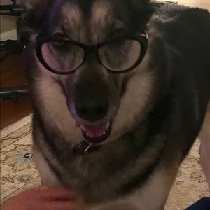 Meet your Posher, Sharon